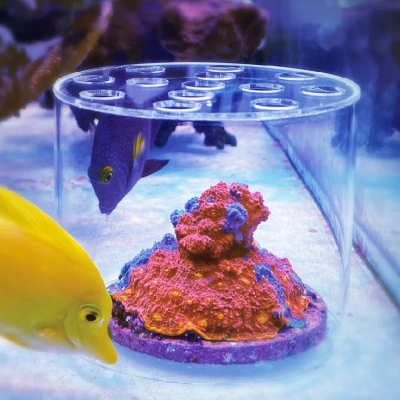 Pet Supplies Fish - ヴァストオーシャン水族館 アクリル製サンゴフィーダーフード 液体肥料添加ツール リーフ淡水魚水槽用サンゴ給餌フード