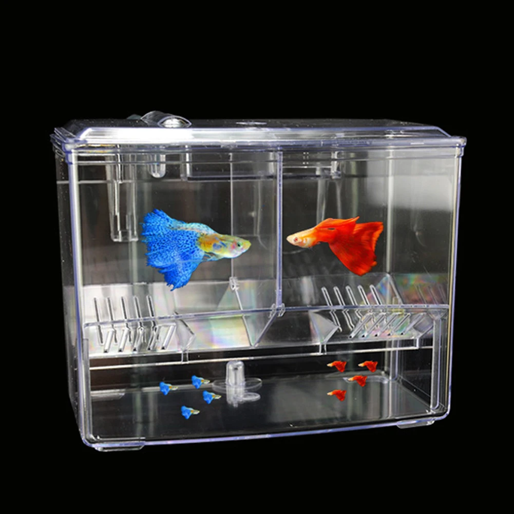 水槽用外部吊り下げ式空気注入式孵化インキュベーター繁殖ボック - Pet Supplies Fish のレビューと価格