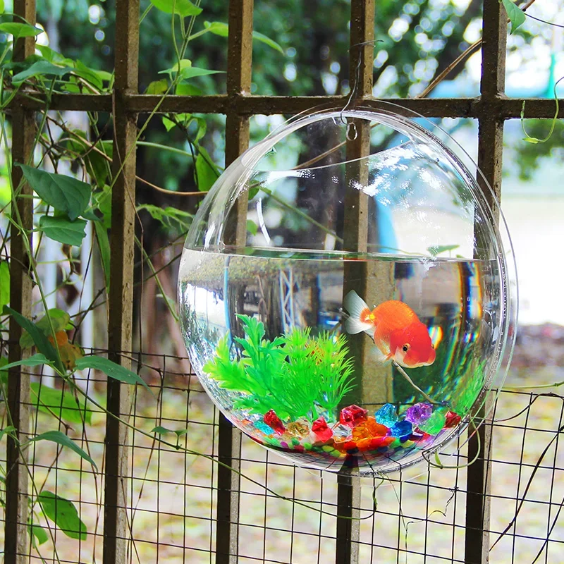 Pinsjar アクリル金魚鉢壁掛け水族館タンク水生ペット用 - Pet Supplies Fish のレビューと価格