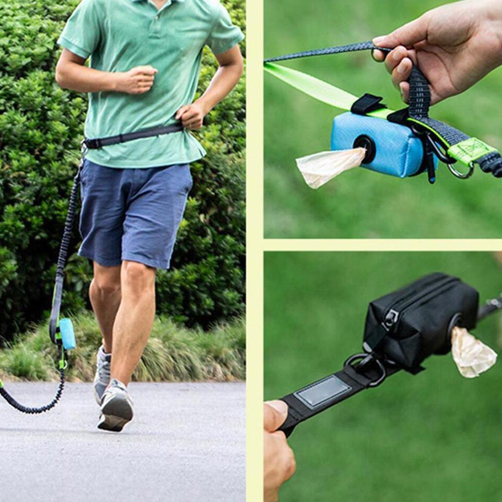 ペット用ハンドバッグ型配布バッグ、犬のうんち袋ホルダー（リー - Poop Bag Dispenser のレビューと価格