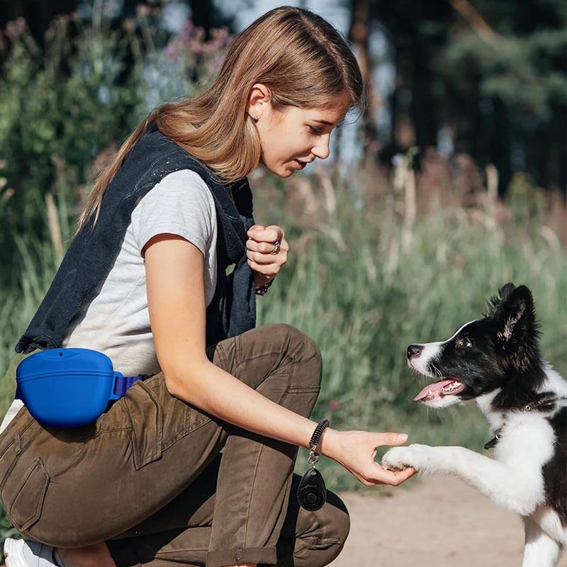 犬用のポータブルシリコントラベルバッグ,子犬用スナックポーチ - Pet Supplies Rewards のレビューと価格